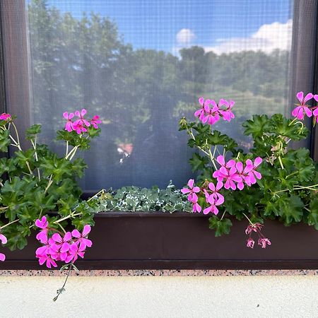 Apartma Anze Samec Dobravlje Bagian luar foto