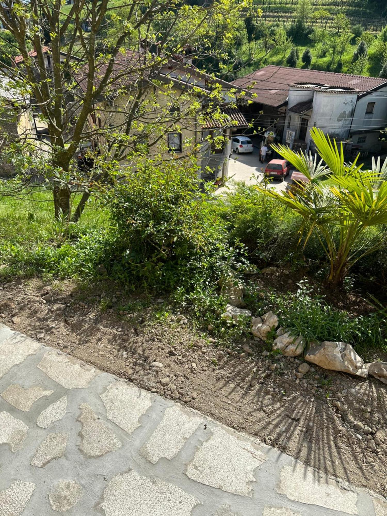 Apartma Anze Samec Dobravlje Bagian luar foto