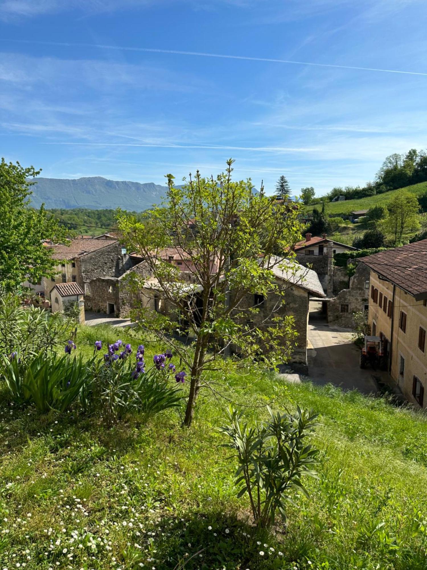 Apartma Anze Samec Dobravlje Bagian luar foto