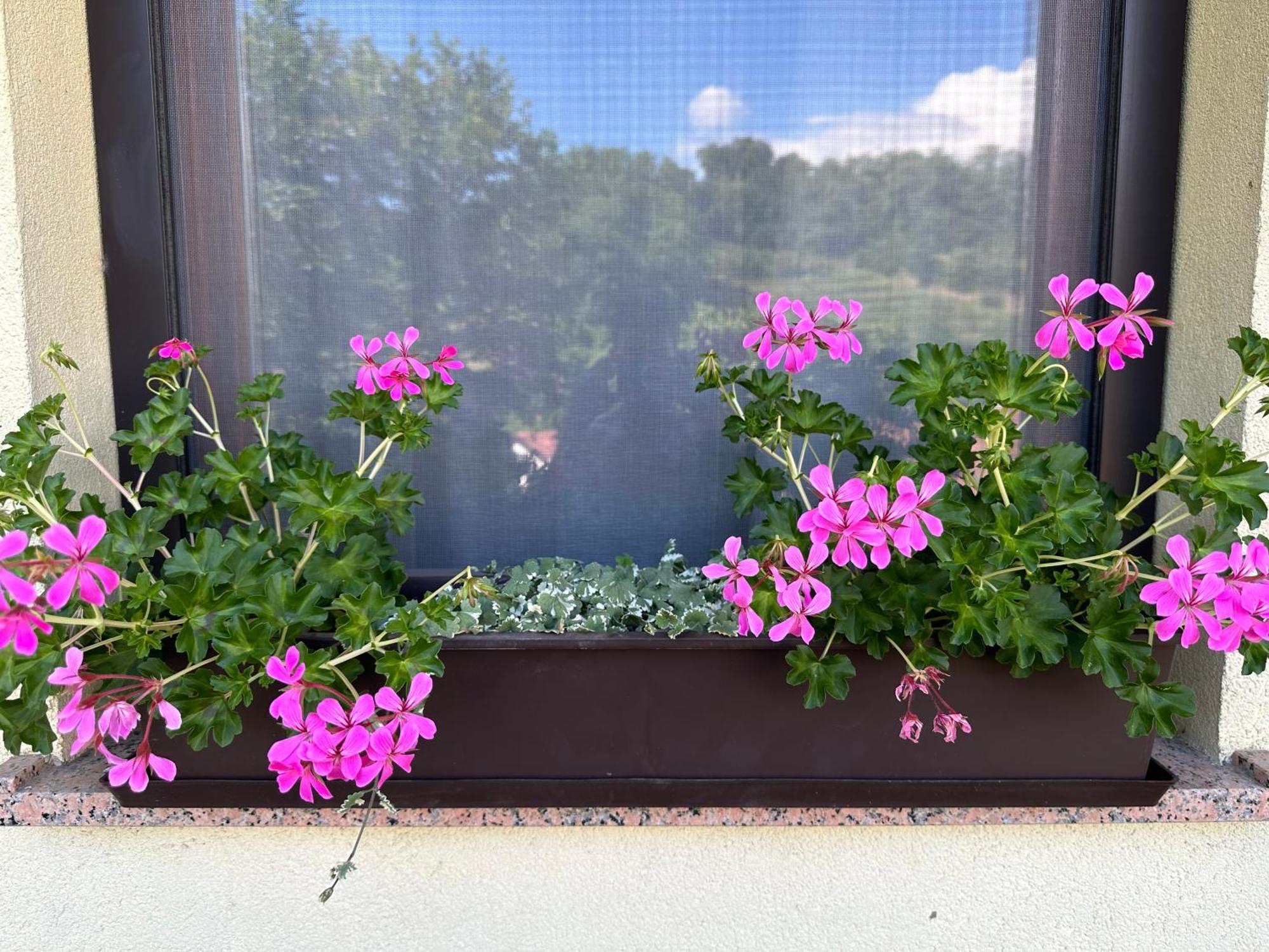 Apartma Anze Samec Dobravlje Bagian luar foto